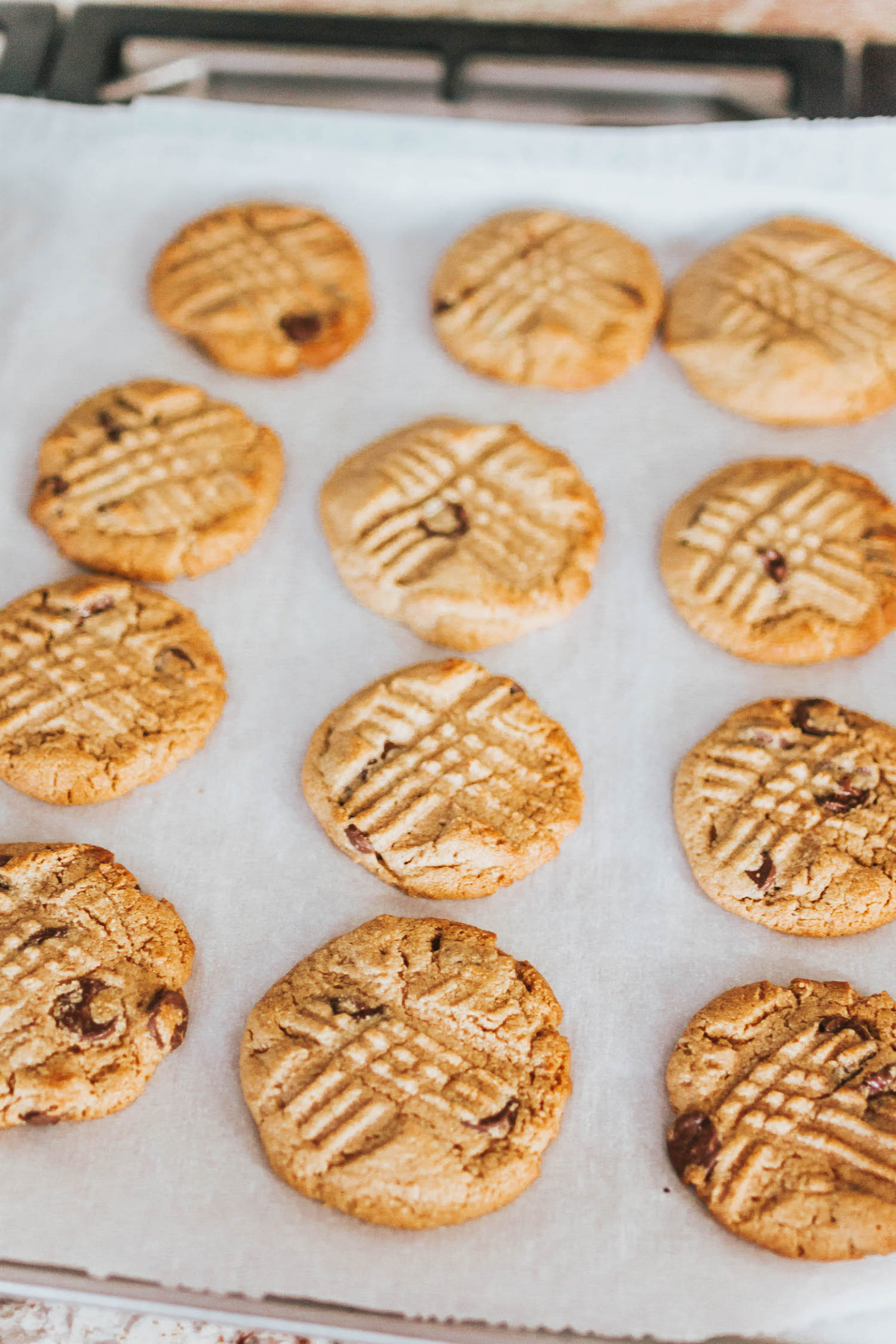 TikTok Peanut Butter Cookies | 3 Ingredient Peanut Butter Cookies