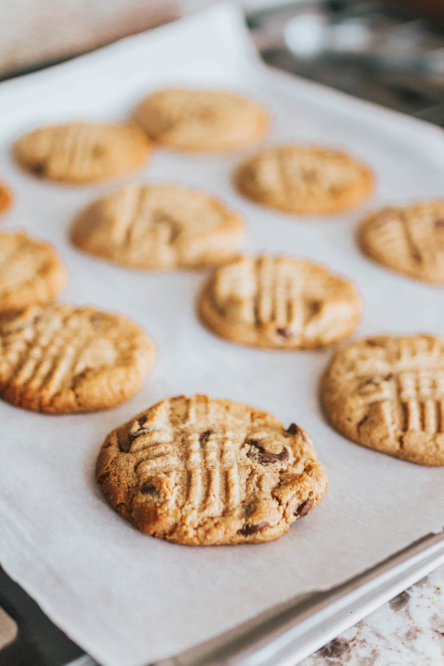 TikTokPeanutButterCookies3Ingredients16 Holly Habeck