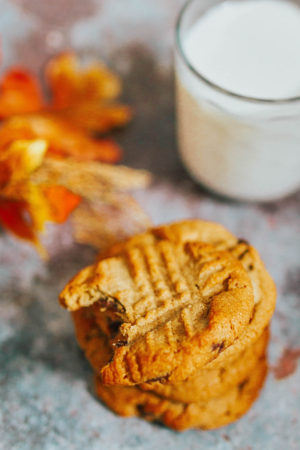 TikTok Peanut Butter Cookies | 3 Ingredient Peanut Butter Cookies