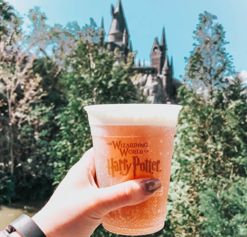 21 Tips: Universal Orlando's Wizarding World of Harry Potter - The Honeyed