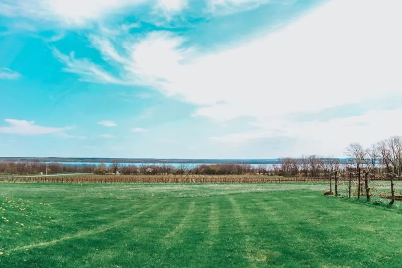 Best Wineries Seneca Lake Wine Trail