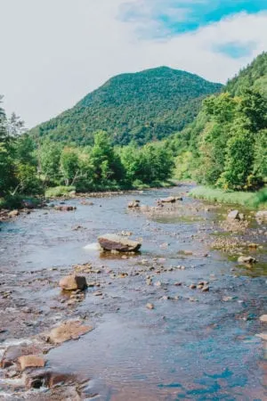 What does fomo mean?