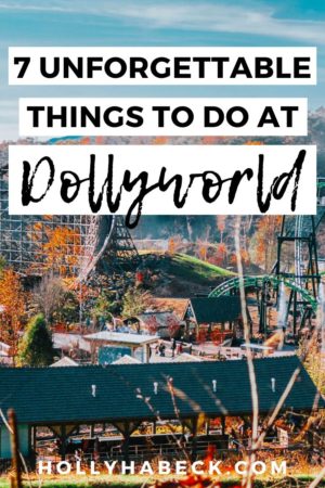 Dollywood Roller Coasters, Dollywood Food