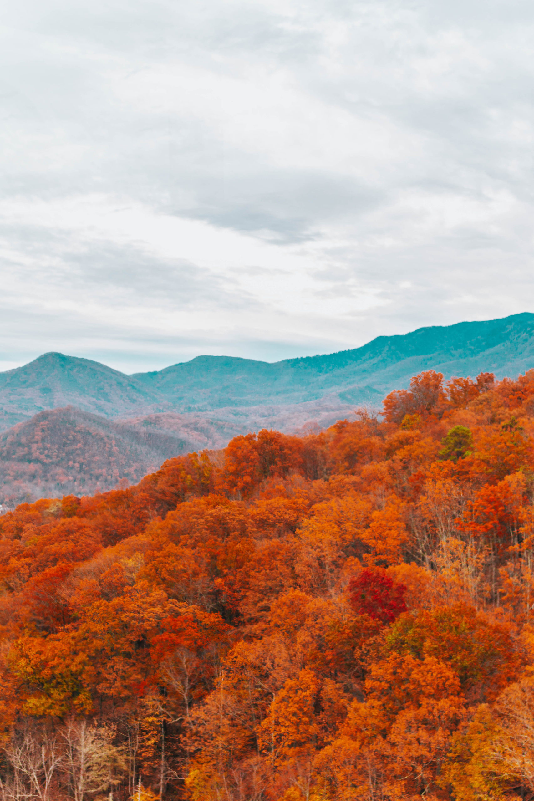 Smoky Mountains Attractions
